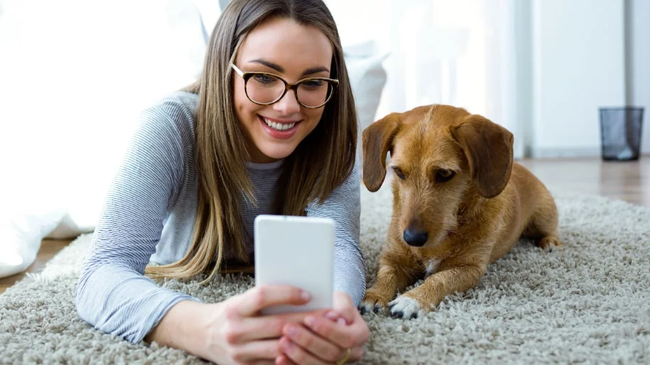 How Can CBD Help My Pets?