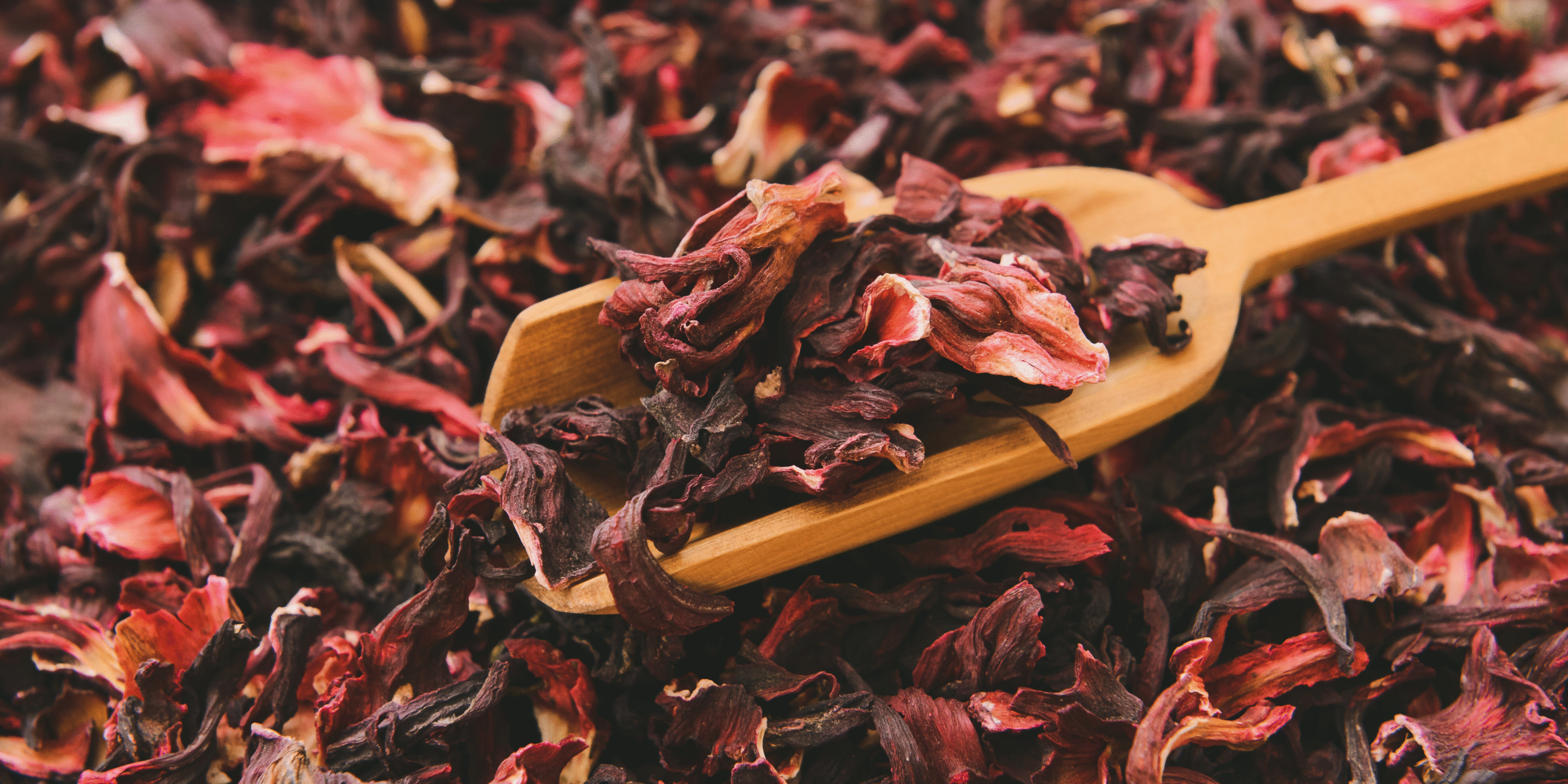 Recipe: CBD (High)biscus Tea Latte